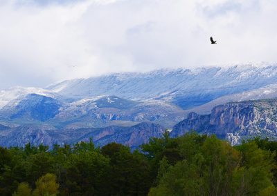 Marche et Prière